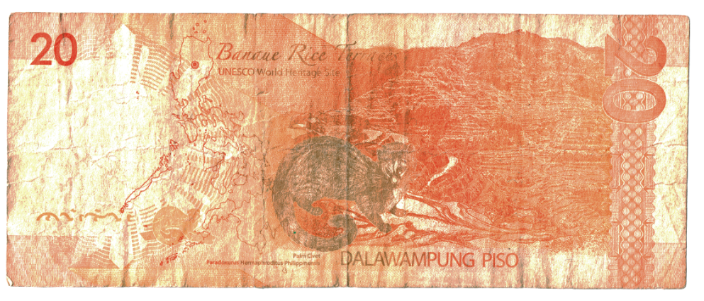 Philippines 20 Pesos Reverse_000221.png