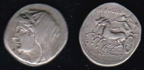 PHILISTIS-1.jpg