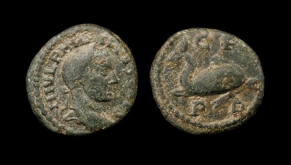 Phillip II Deultum AE Dolphin.jpg