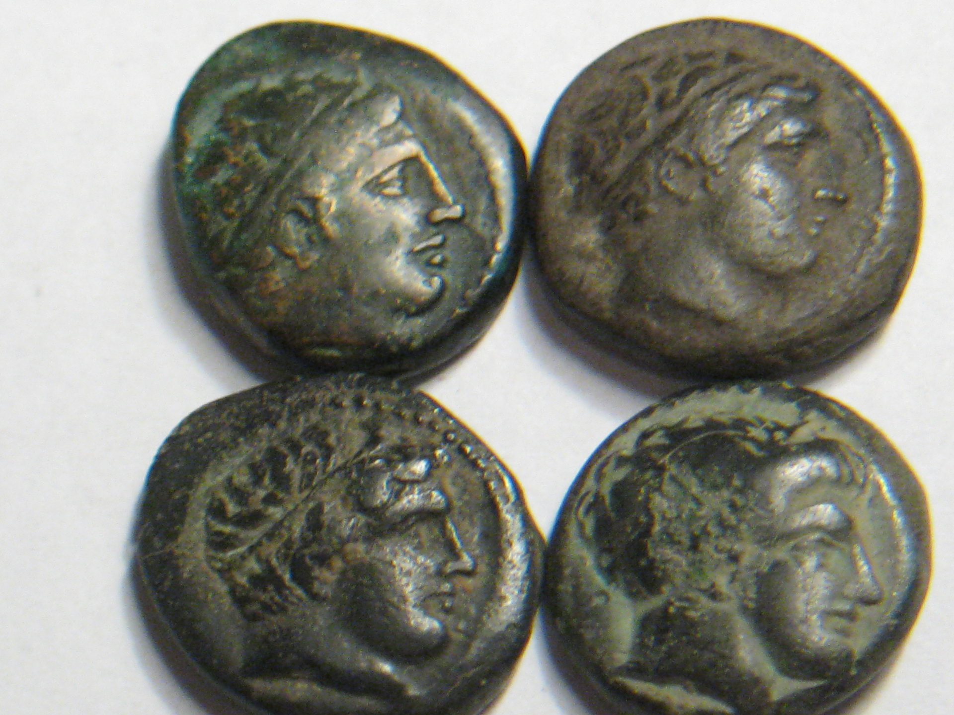 phillip ll  domitian ass. denarius 002.JPG