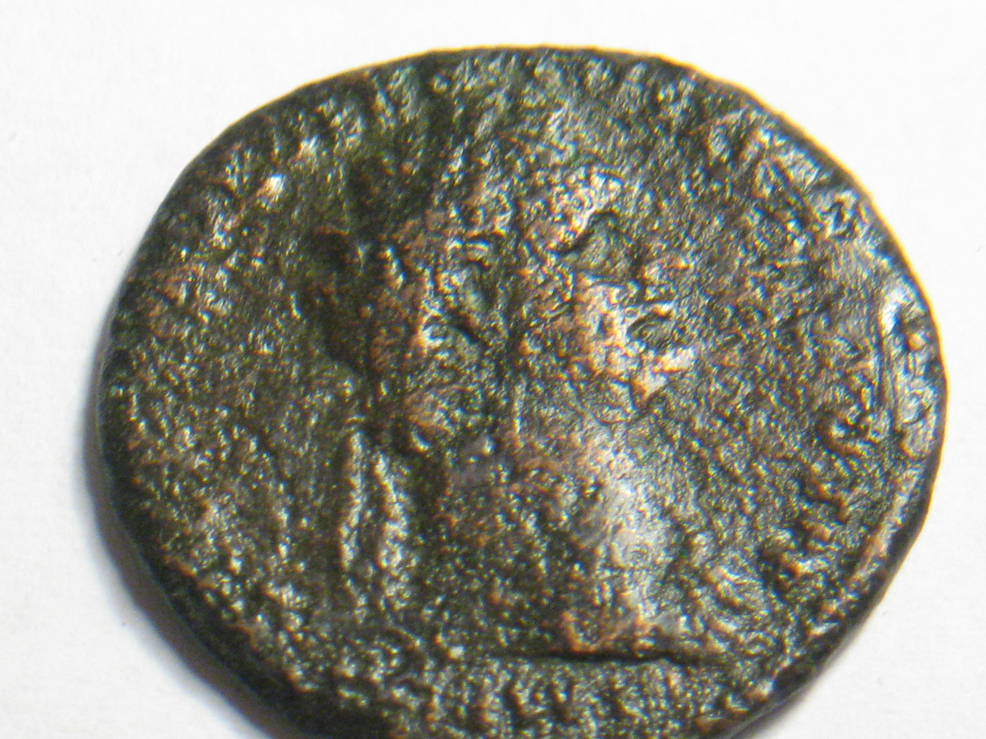 phillip ll  domitian ass. denarius 006.JPG