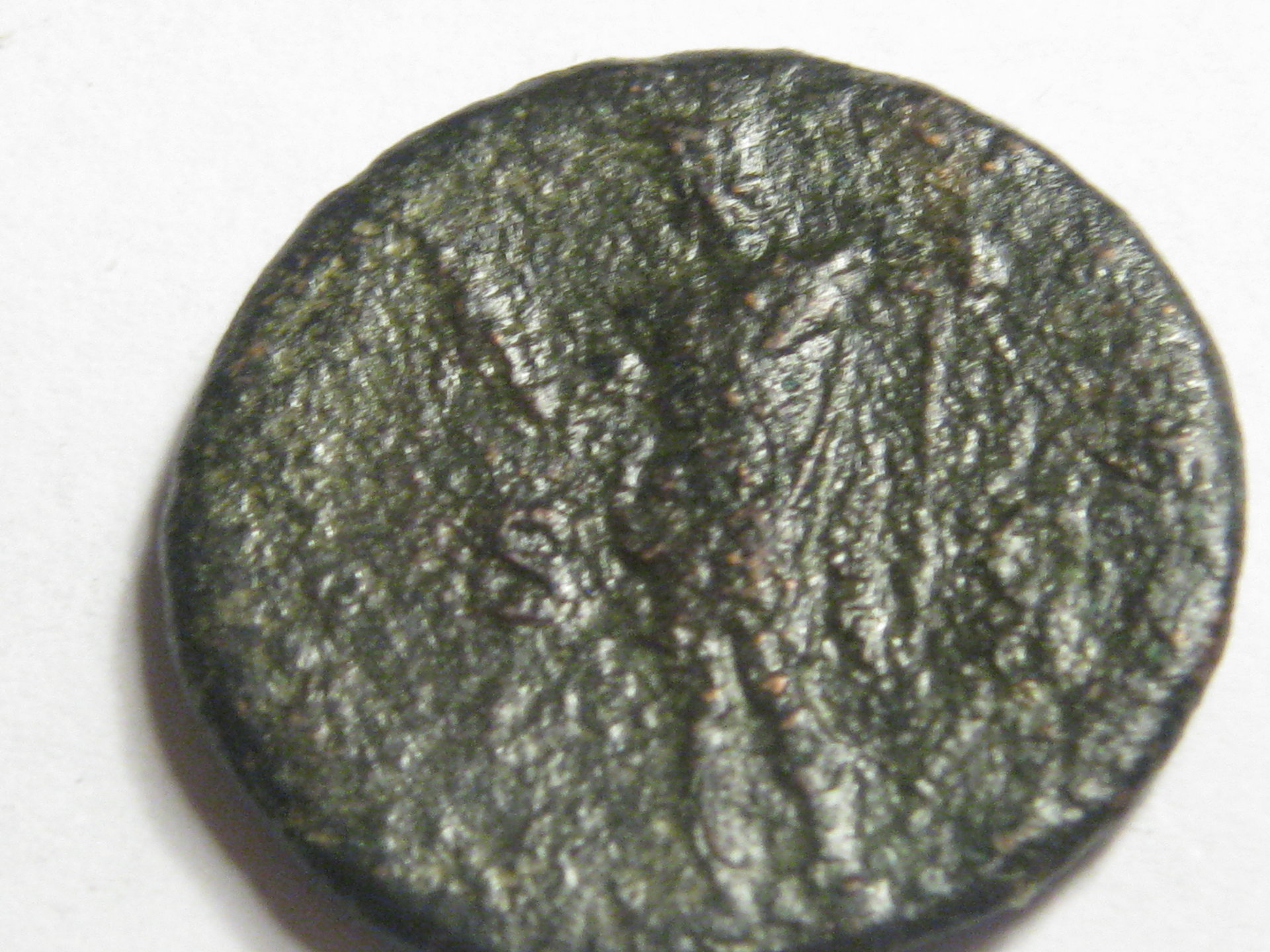 phillip ll  domitian ass. denarius 007.JPG