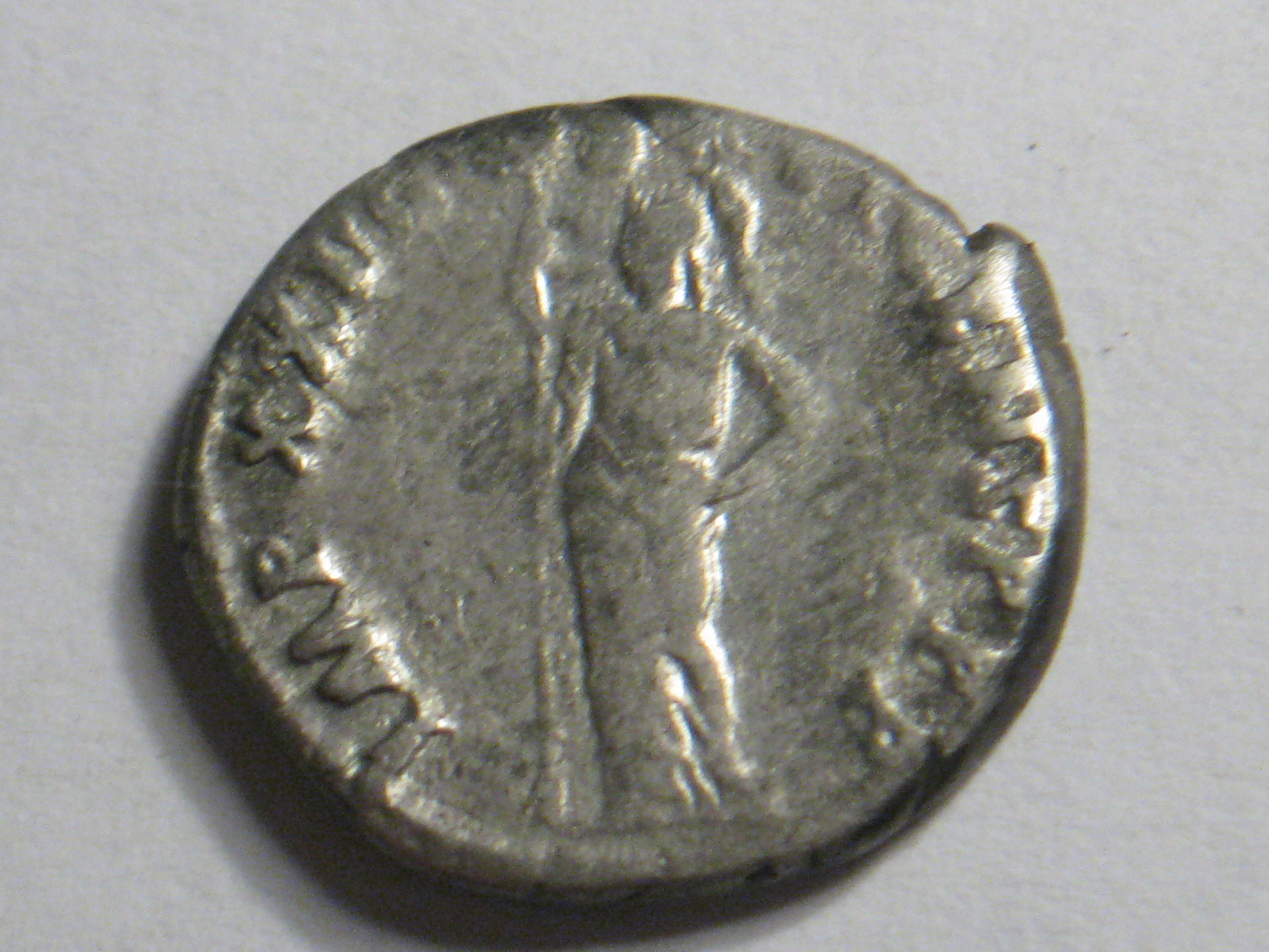 phillip ll  domitian ass. denarius 010.JPG