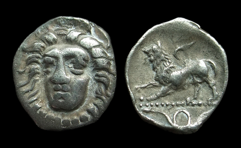 Phistelia Obol.jpg