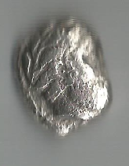 PhoAscan O.jpg