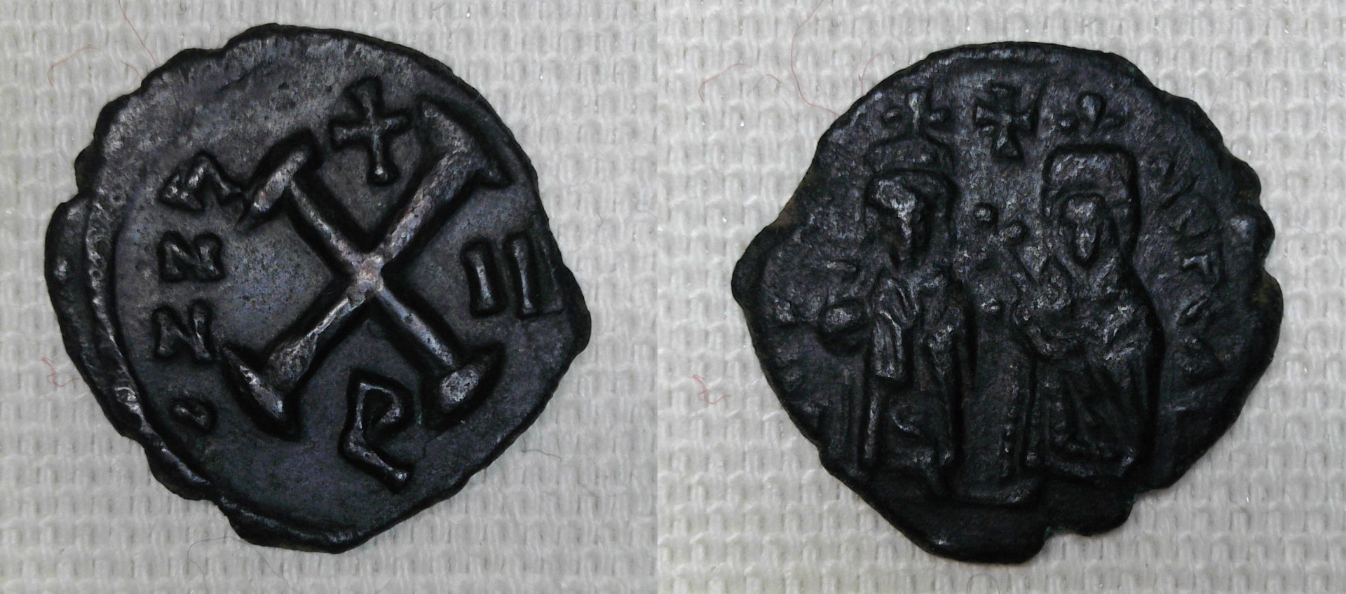 phocas decanummium.jpg