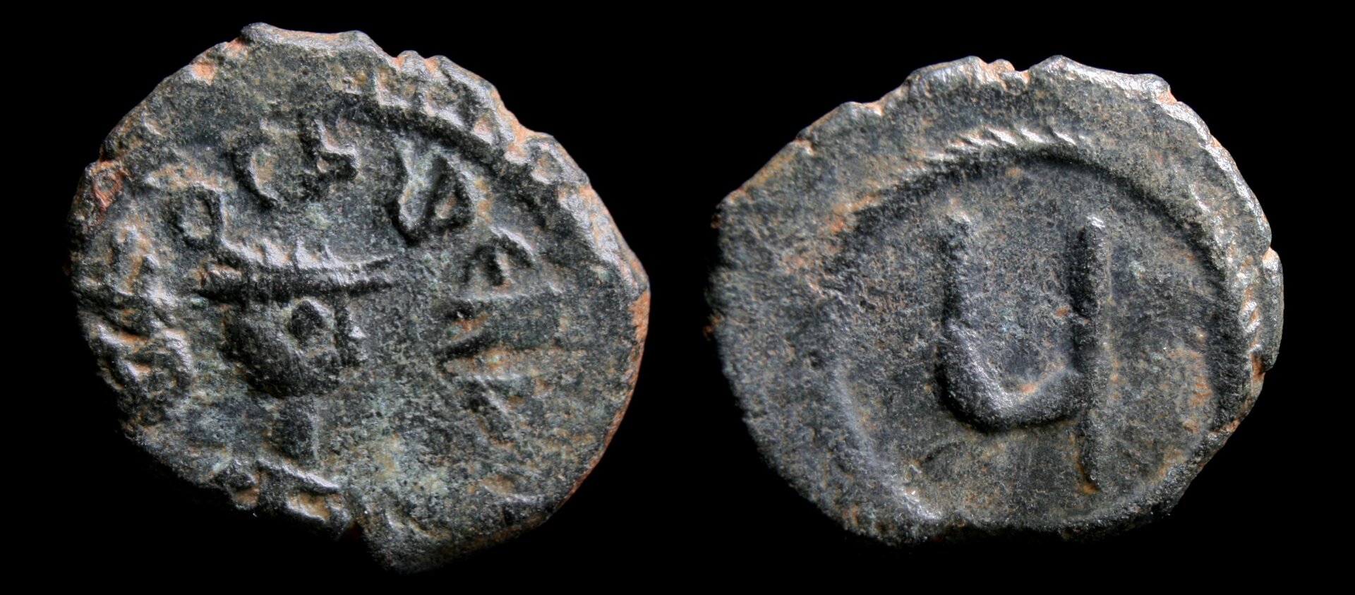 phocas pentanummium.jpg