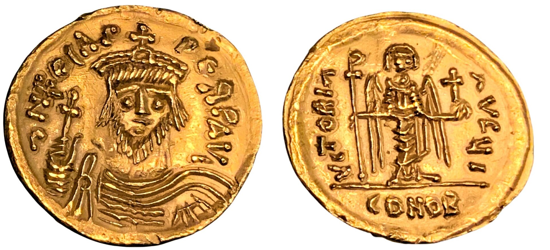 Phocus AV solidus.jpg