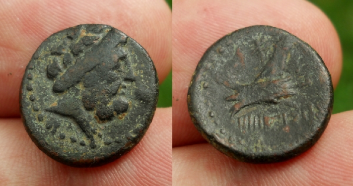 Phoenicia Arabos AE15.png