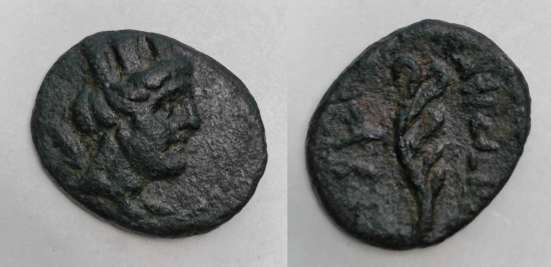 Phoenicia Arados Aphlaston.jpg