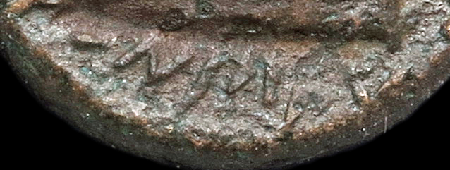 PHOENICIA-AradosAE-Jugate-DateCloseup.jpg