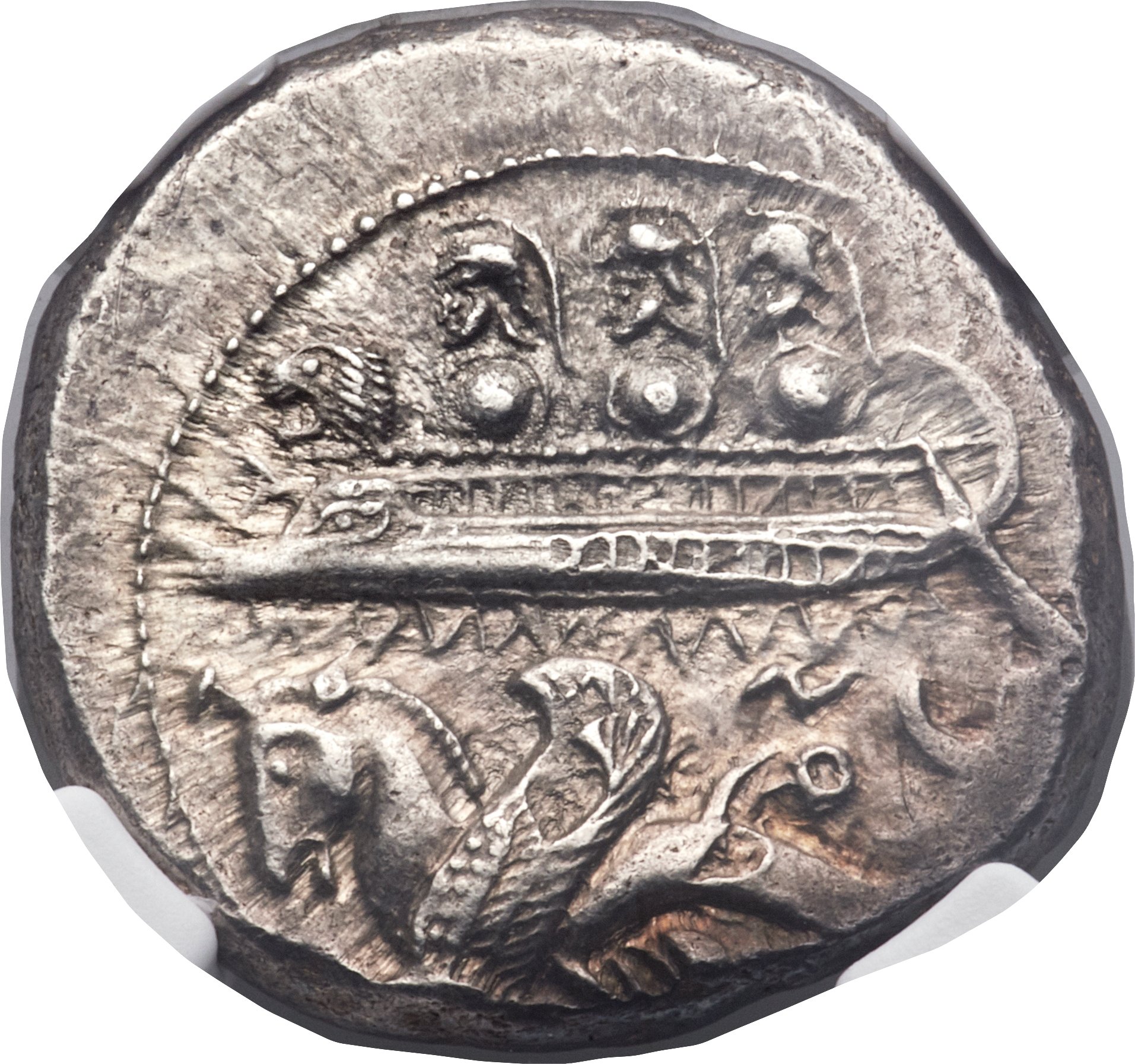 Phoenicia Byblus shekel Obv.jpg