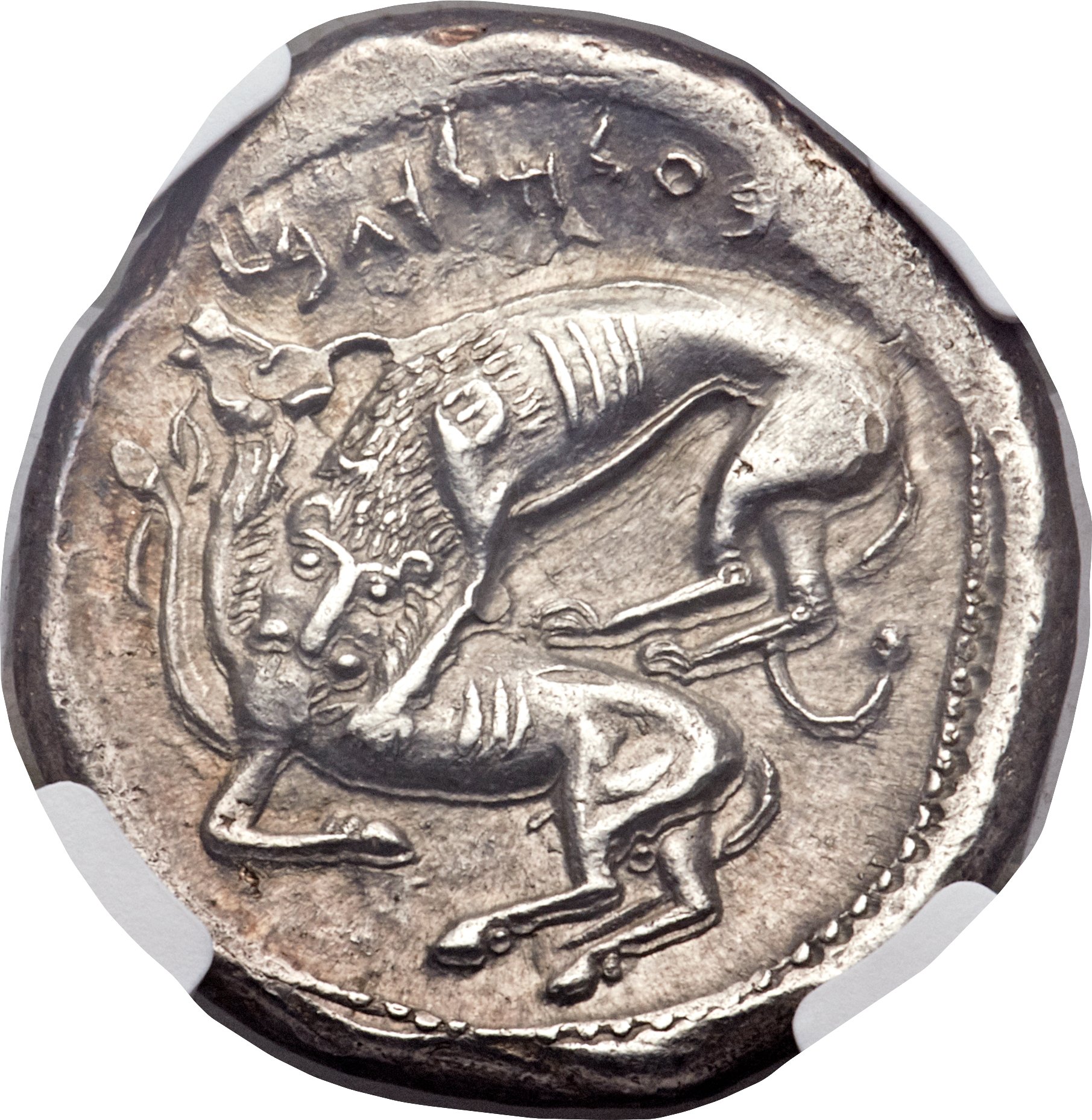 Phoenicia Byblus shekel Rev.jpg