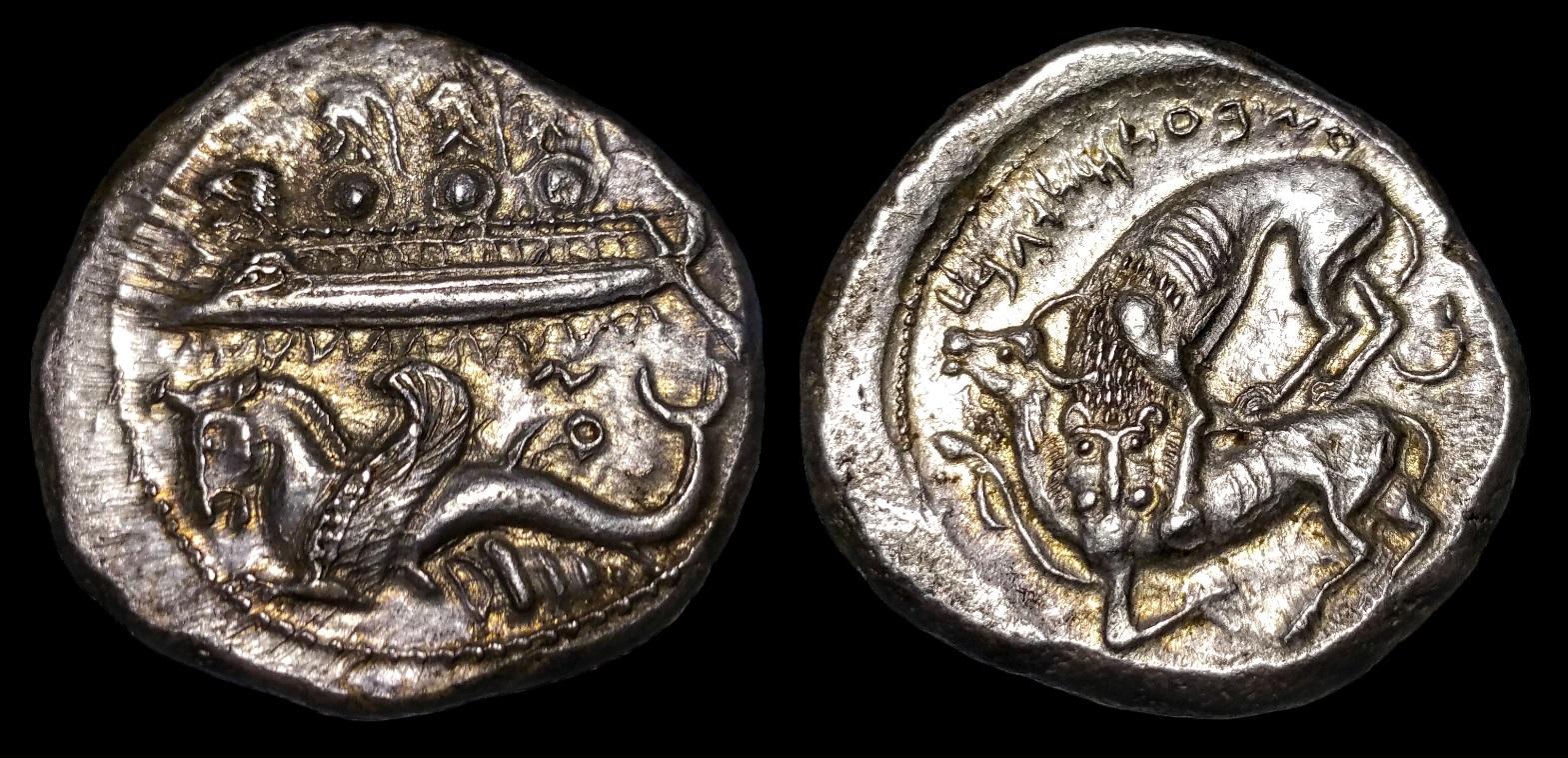 Phoenicia Shekel.jpg