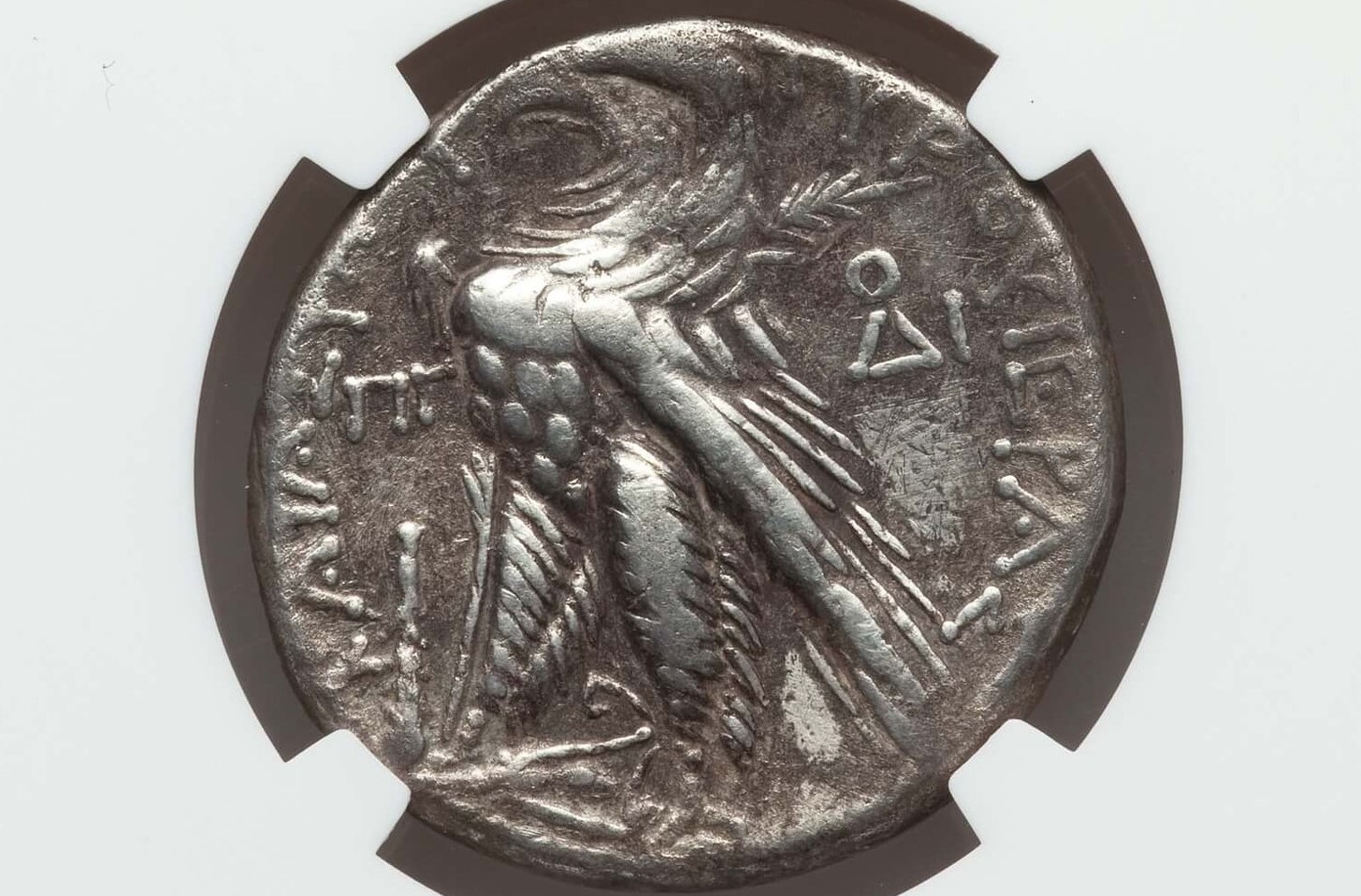 Phoenicia Tyre Shekel 44BC Rev.jpg