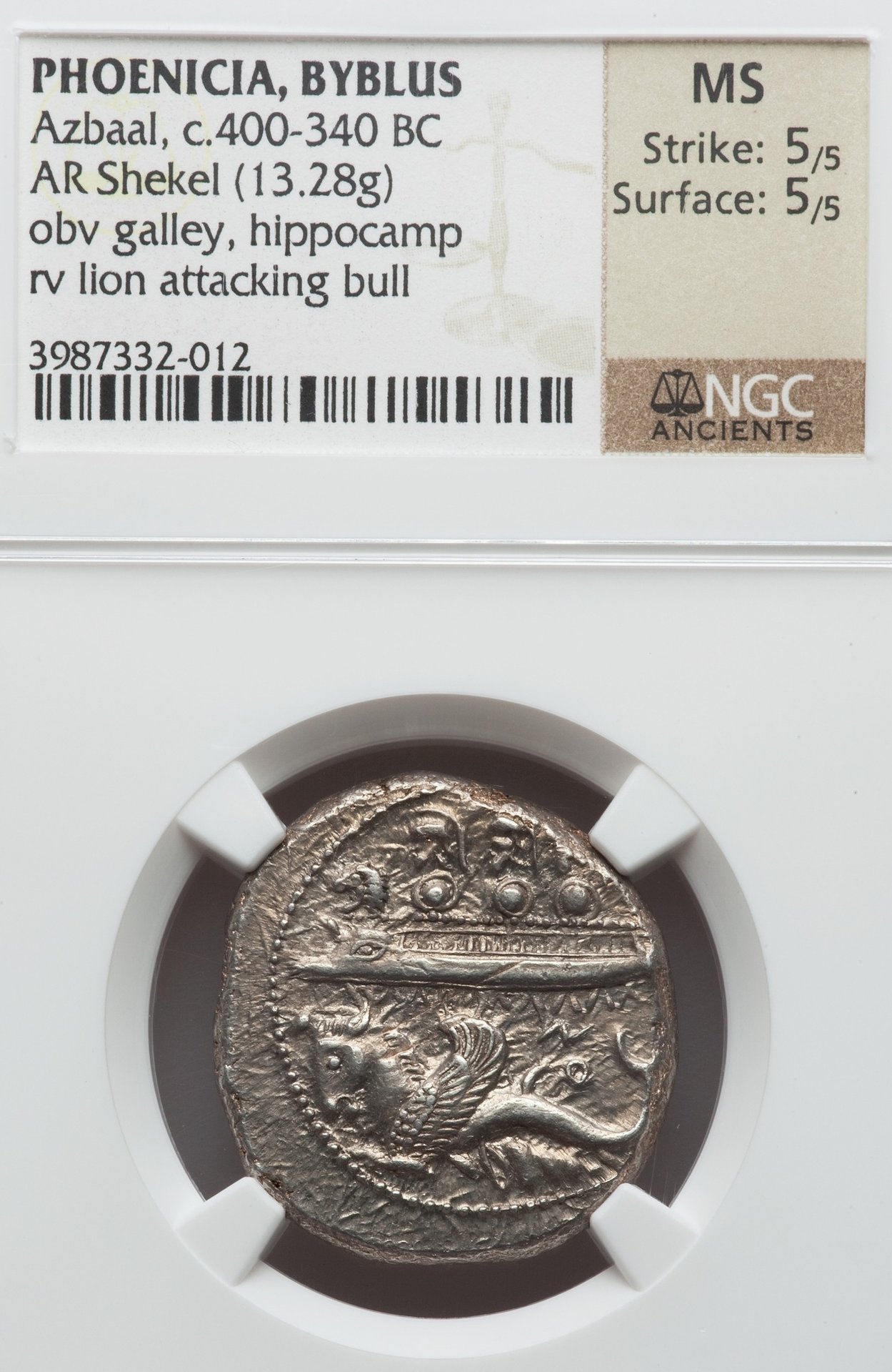 Phoenician Shekel Grade MS 5 5.jpg