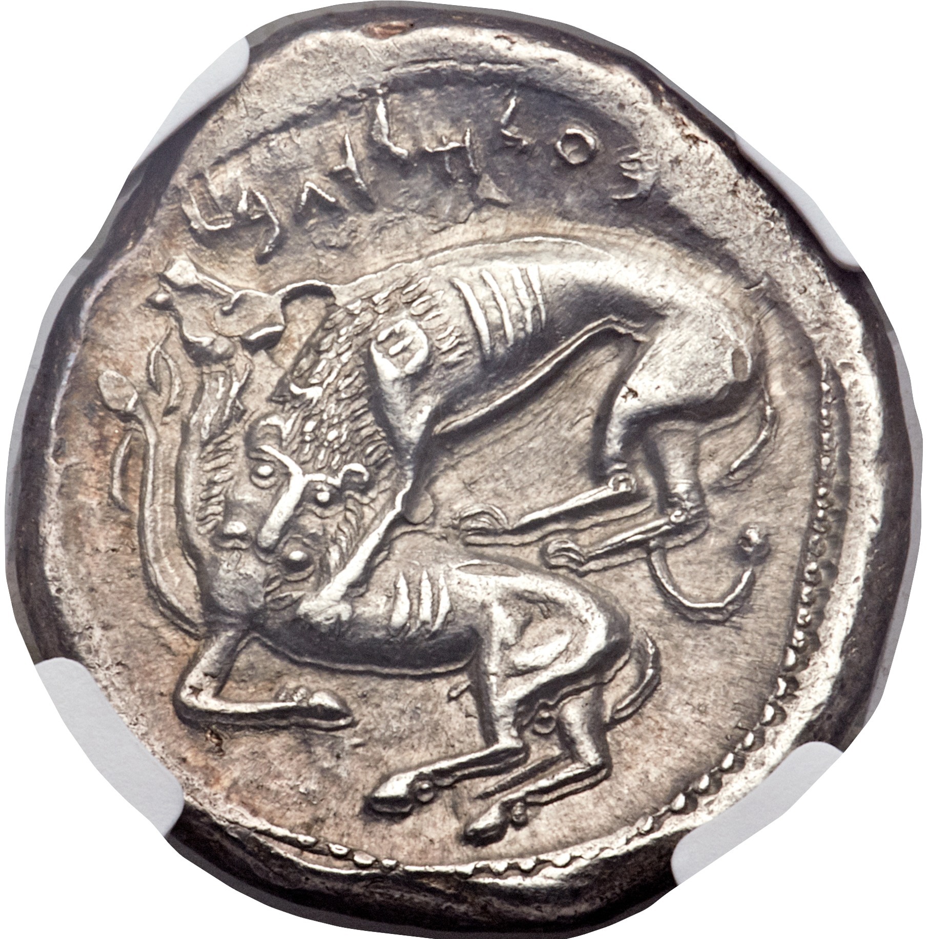 Phoenician Shekel Rev MS 4 5.jpg