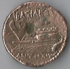 PhoenShip sc  1080 dolphin.JPG