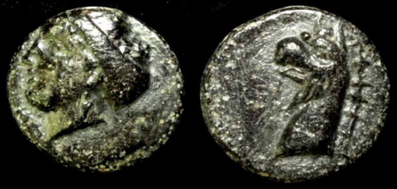 PHOKAIA, IONIA.jpg