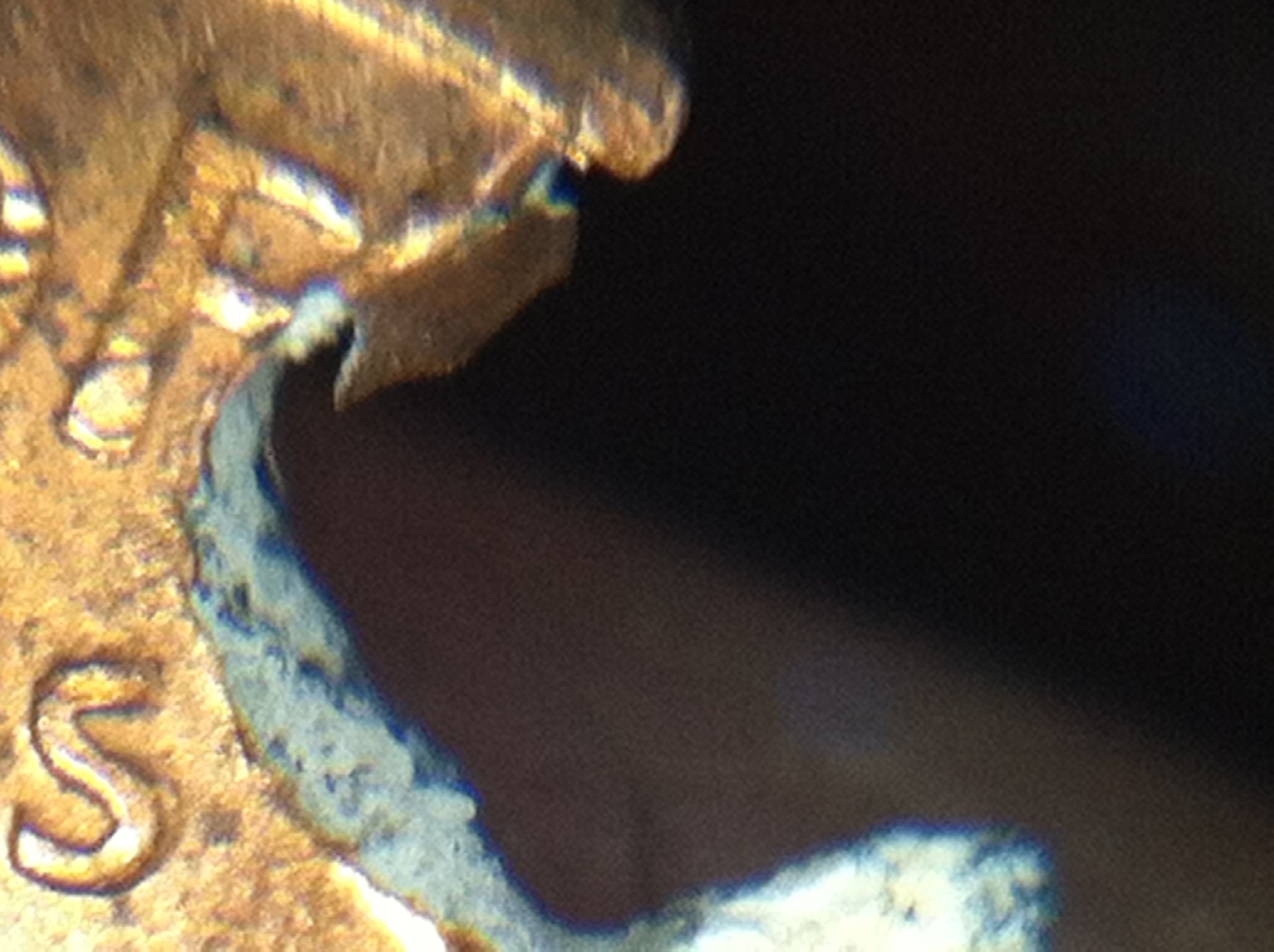 photo 1.JPG
