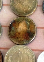 photo 1.png