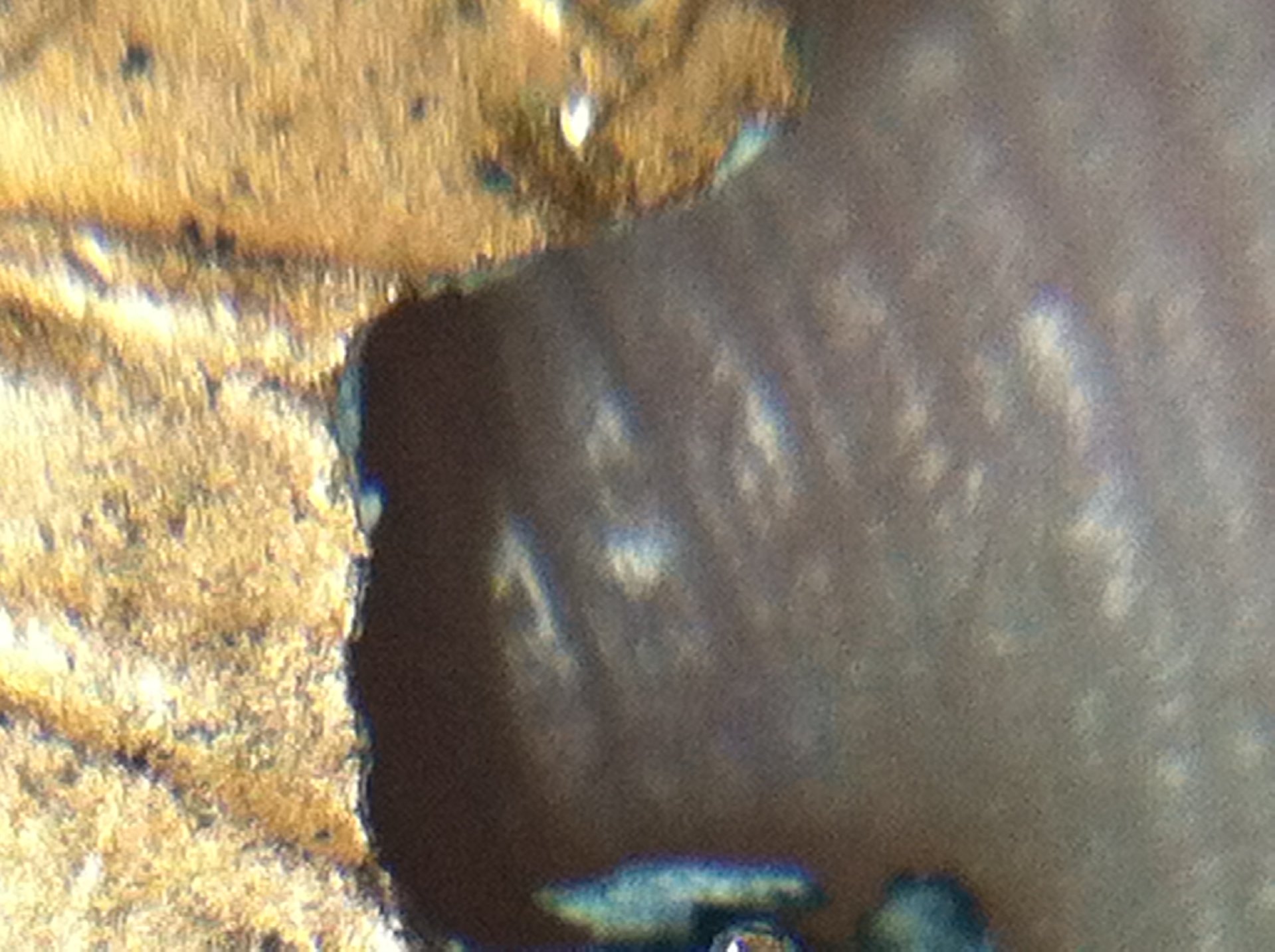 photo 2.JPG
