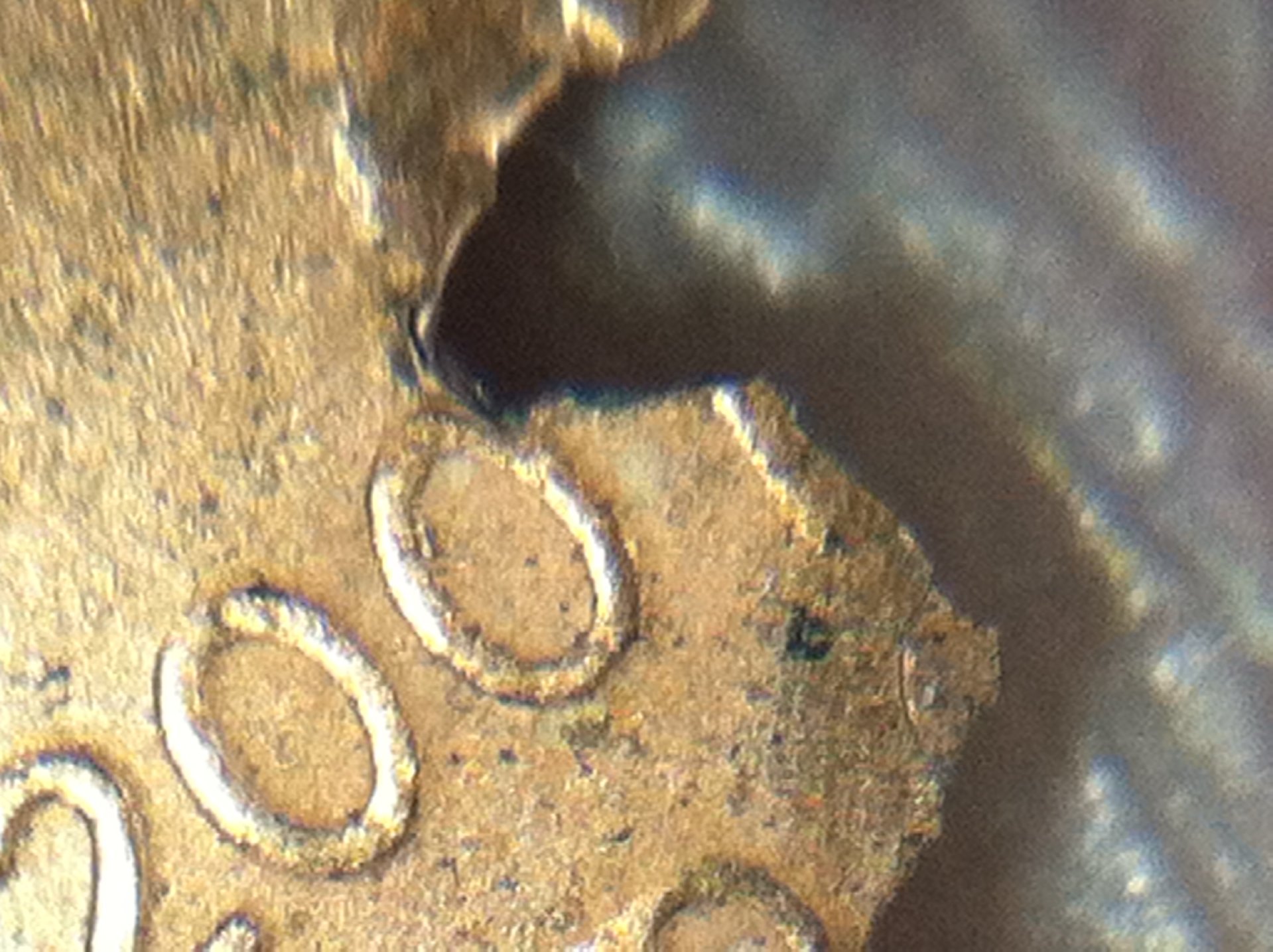 photo 3.JPG
