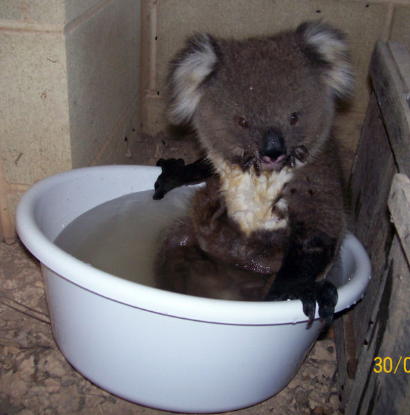 photo bucket 2x.jpg