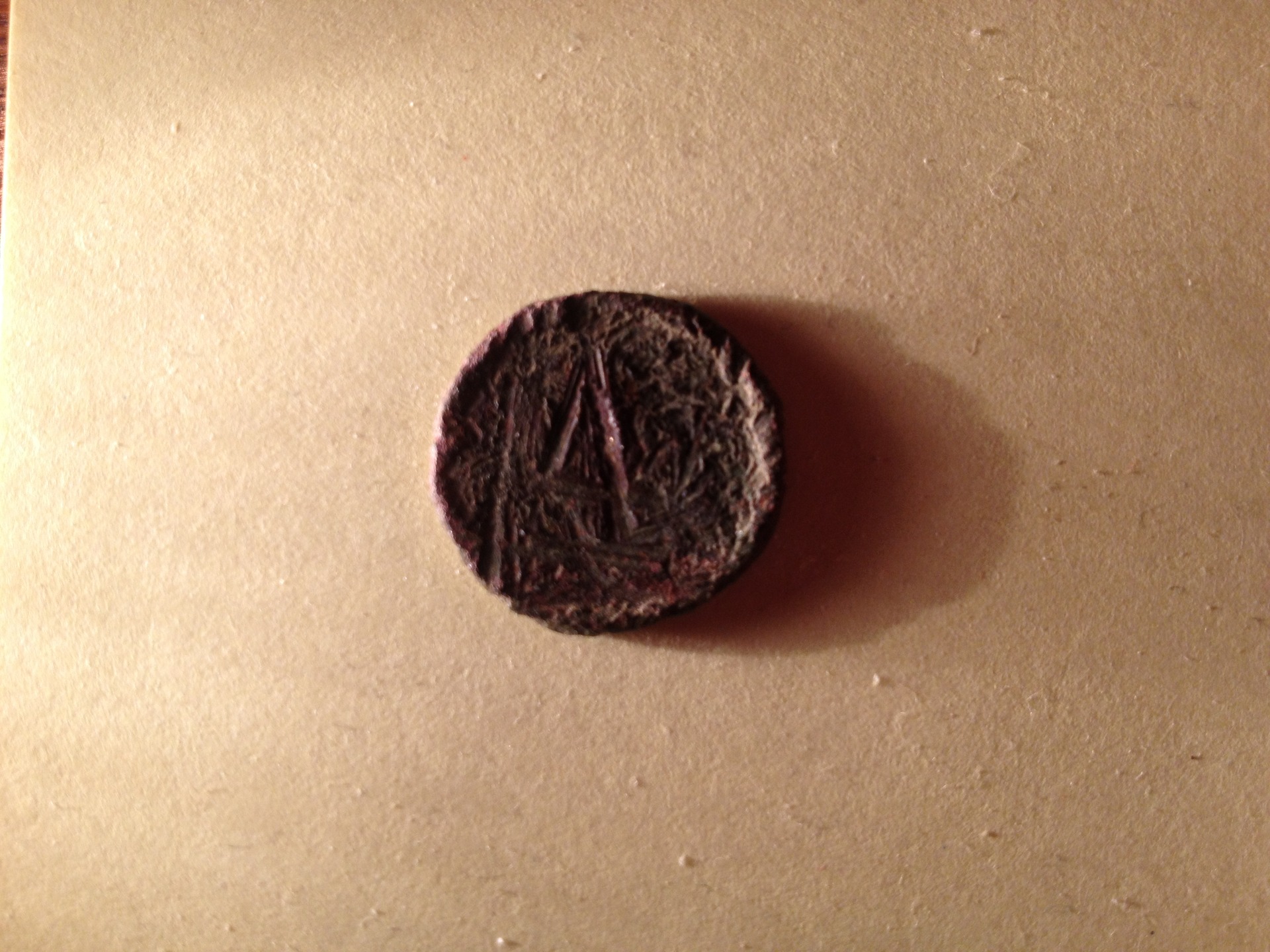 photo.JPG