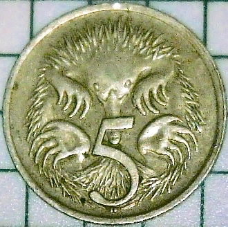 Photo on 10-7-20 at 3.31 PM.jpg