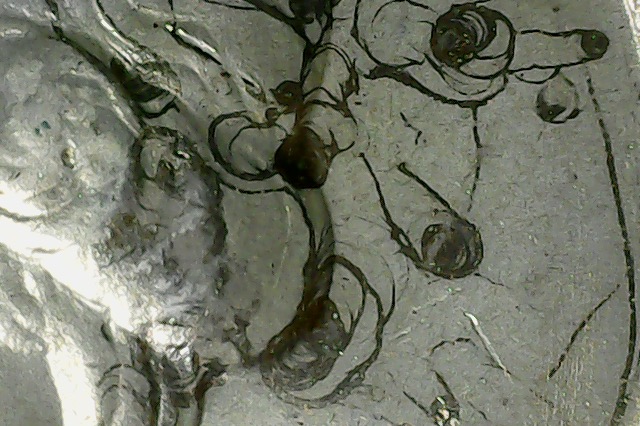 Photo on 2-24-21 at 12.36 PM.jpg