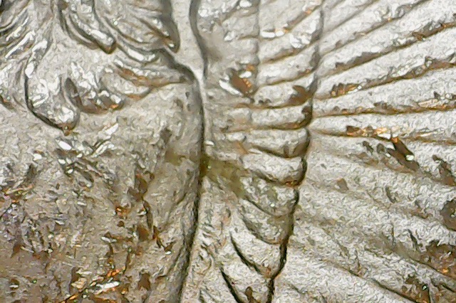 Photo on 3-1-21 at 9.36 AM.jpg