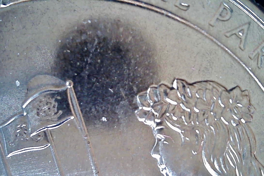 Photo on 4-24-20 at 2.50 PM.jpg