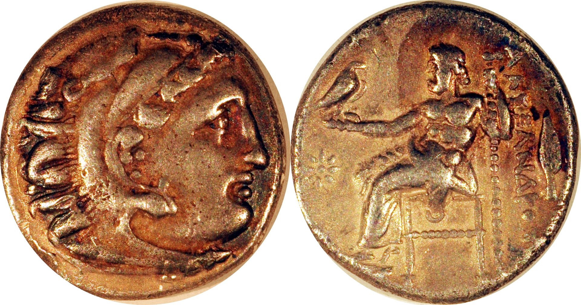photo1.jpg