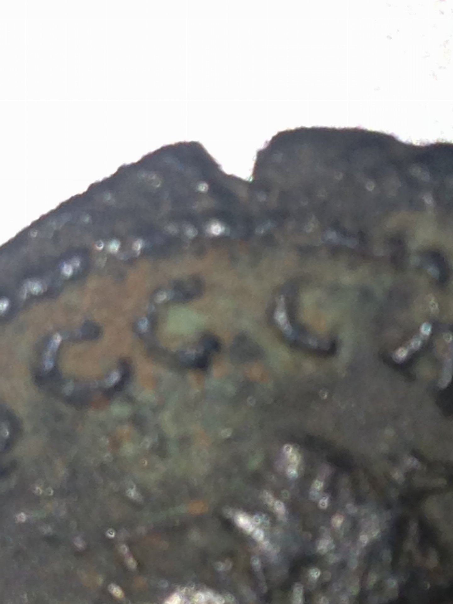 photo2.JPG