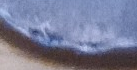 Photo_Magnifying 02.09.2023 20_25_05~2.png