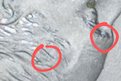 Photo_Magnifying 04.09.2023 20_36_59~3.png