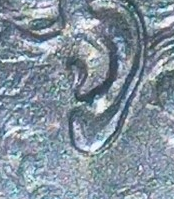Photo_Magnifying 17.12.2023 16_14_04~3.png