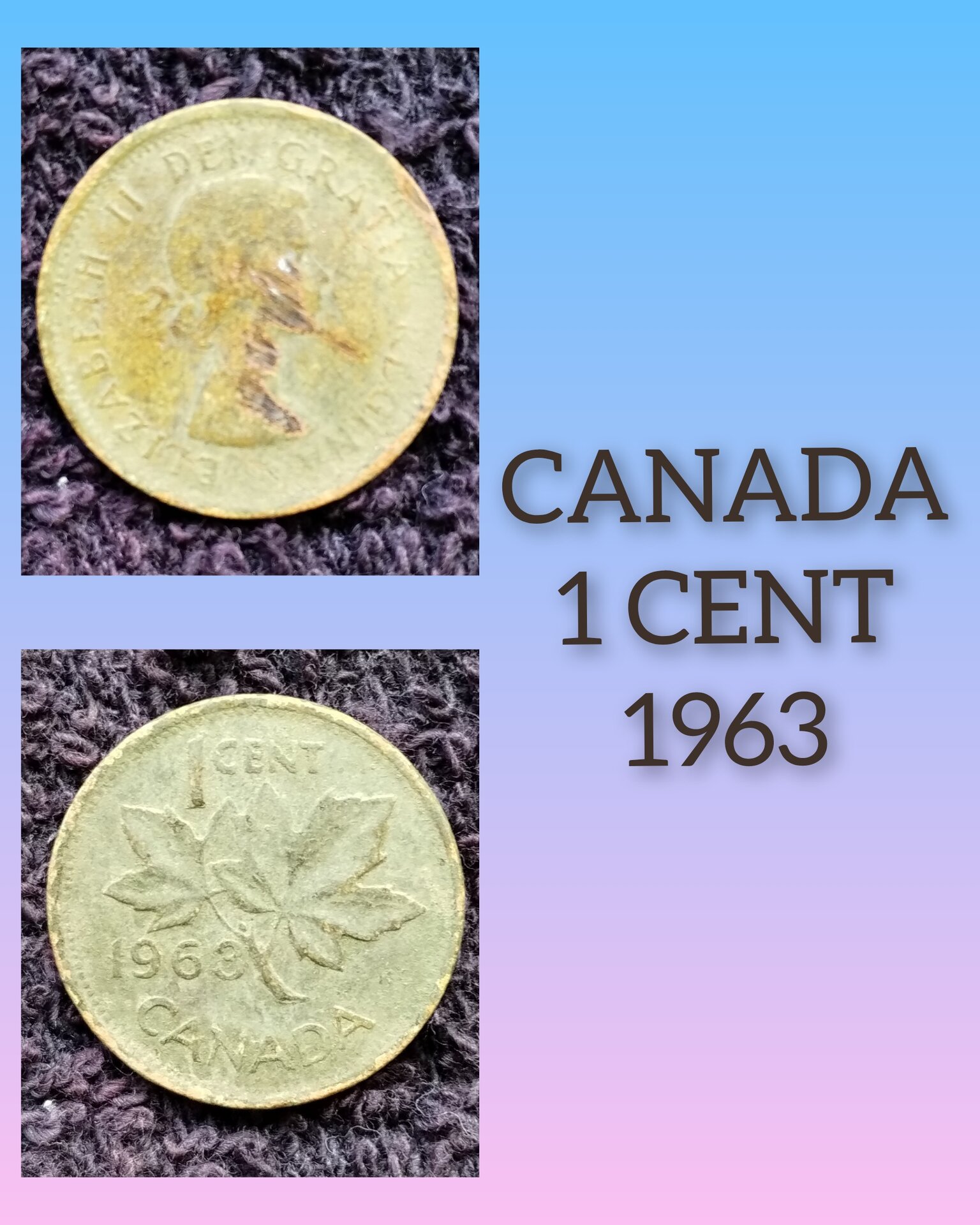 PhotoCollageMaker_20240831_160833632.jpg