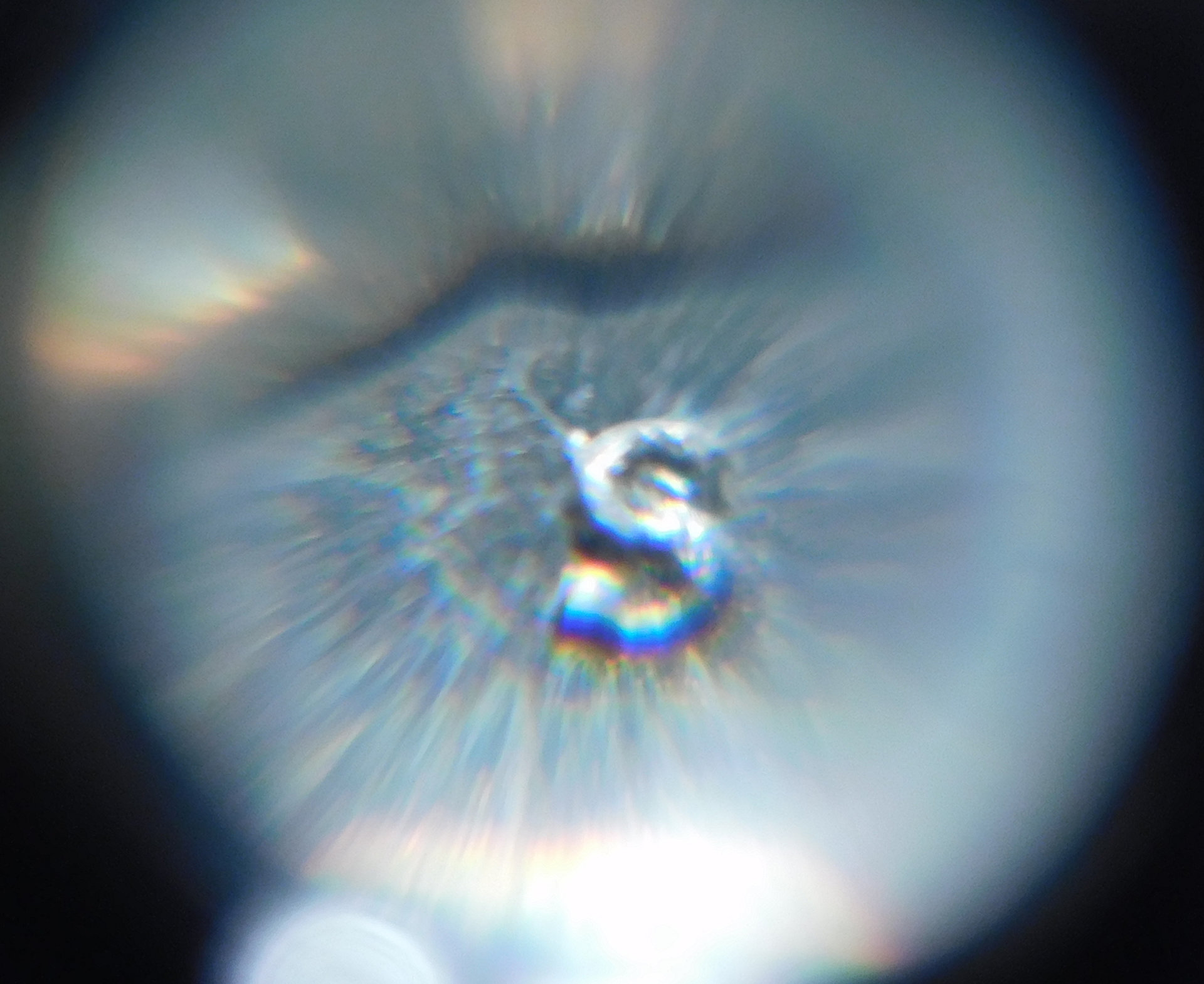 PhotoEditor_20190803_213215652.jpg