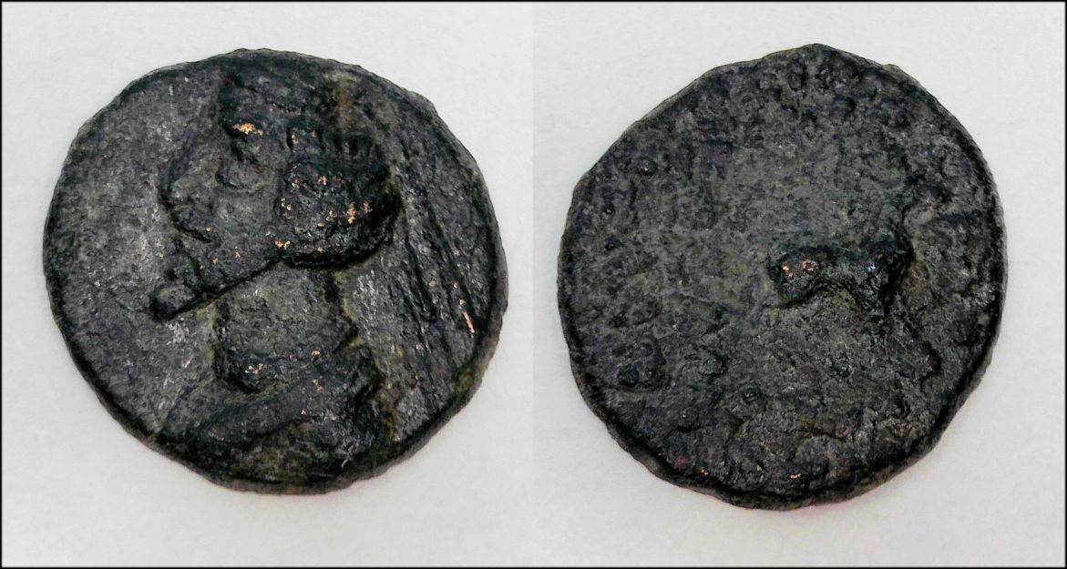 Phraates IV AE.jpg