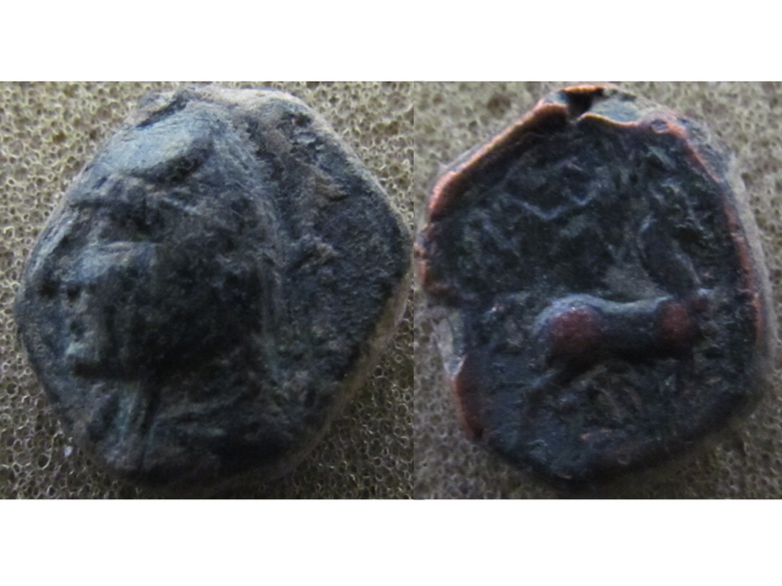 Phriapatius.jpg