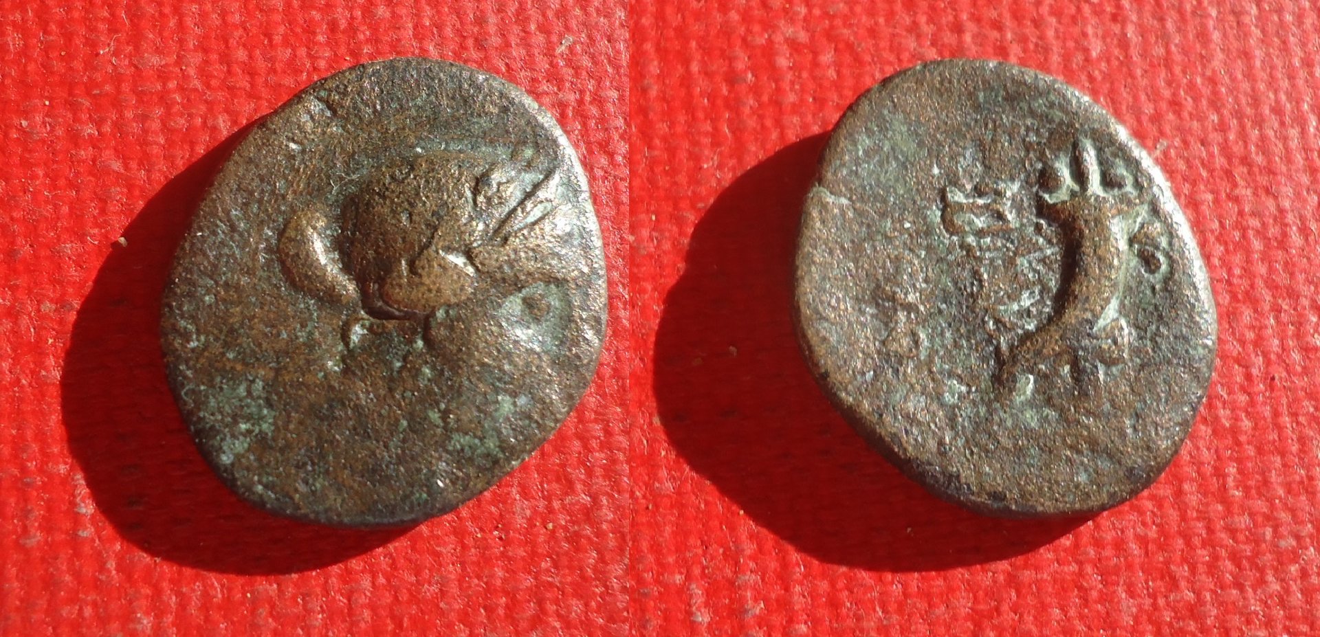 Phrygia - Cornucopia caduceus AE  Oct 2019 lot (0).jpg