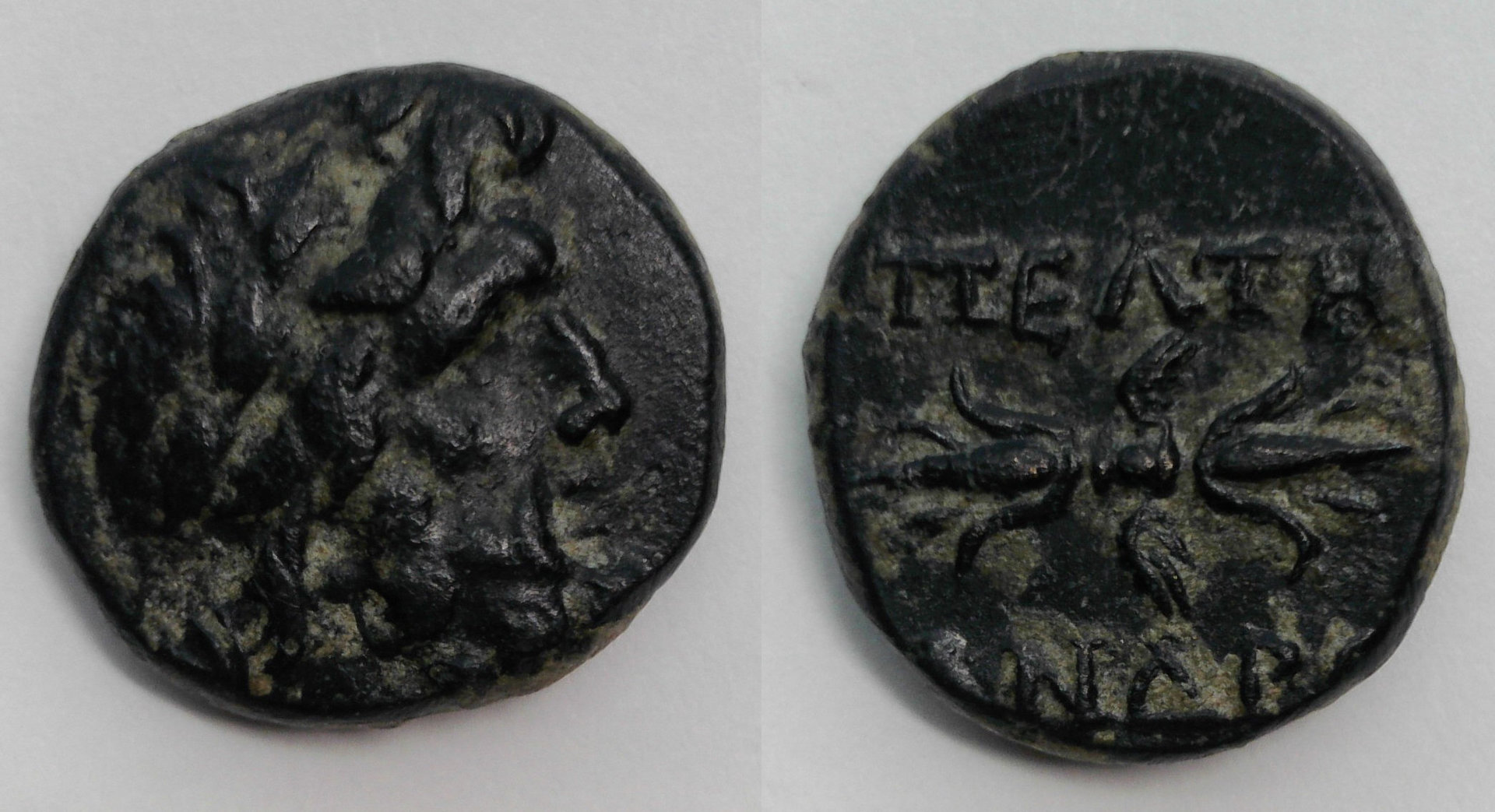 Phrygia Peltai.jpg