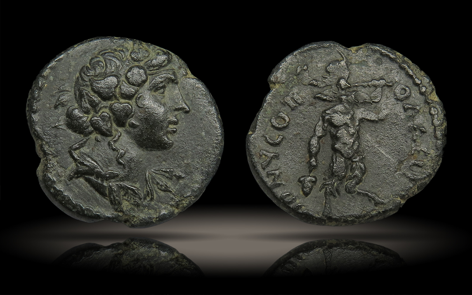 PhrygiaPan-Leu16Lot2816-22May2021.jpg