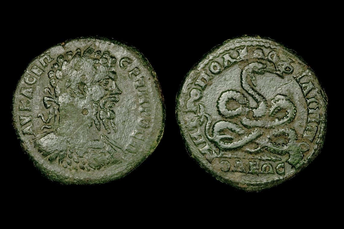 pi0800bb2445.jpg
