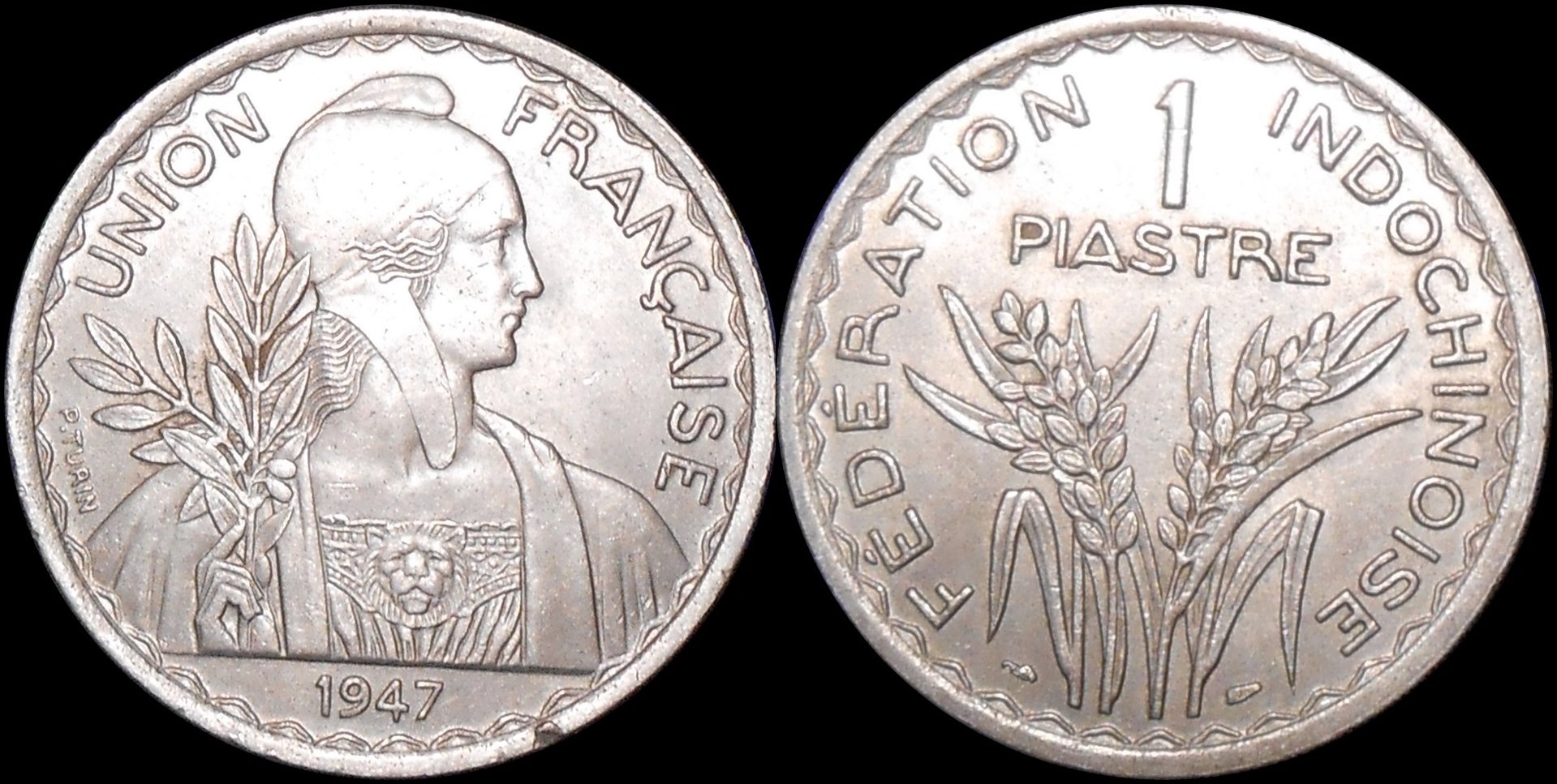 piastreobv-horz.jpg