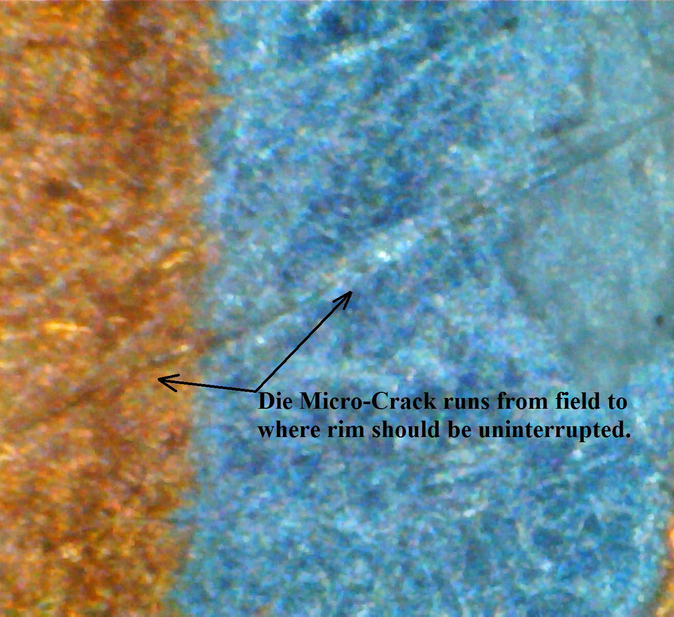 Pic 10.jpg