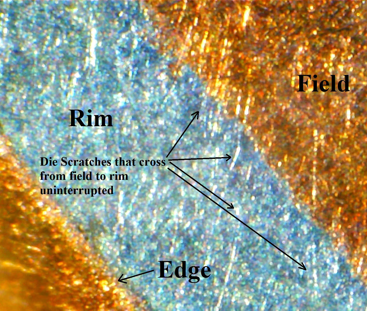Pic 2.jpg