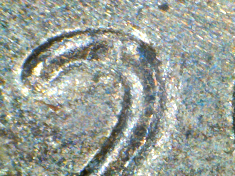 Pic 20.jpg